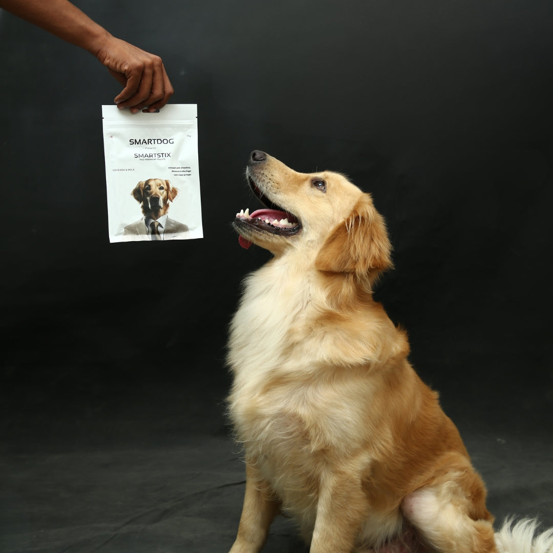 How should you introduce Smartstix to your dog?