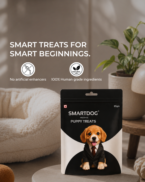 Puppy Treats