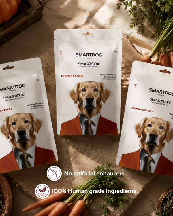Smartstix - Pumpkin & Carrot